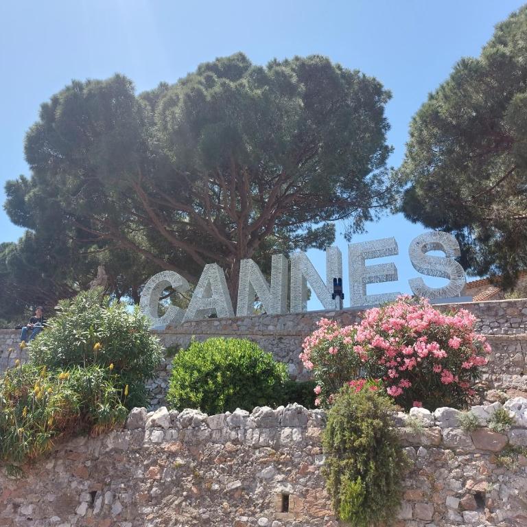 Gray d'Albion - Cannes Rue d'Antibes - 2 Minutes walk from Beach, Palais des Festivals, Boulevard de la Croisette - Free Parking - Estudio Superior - 21