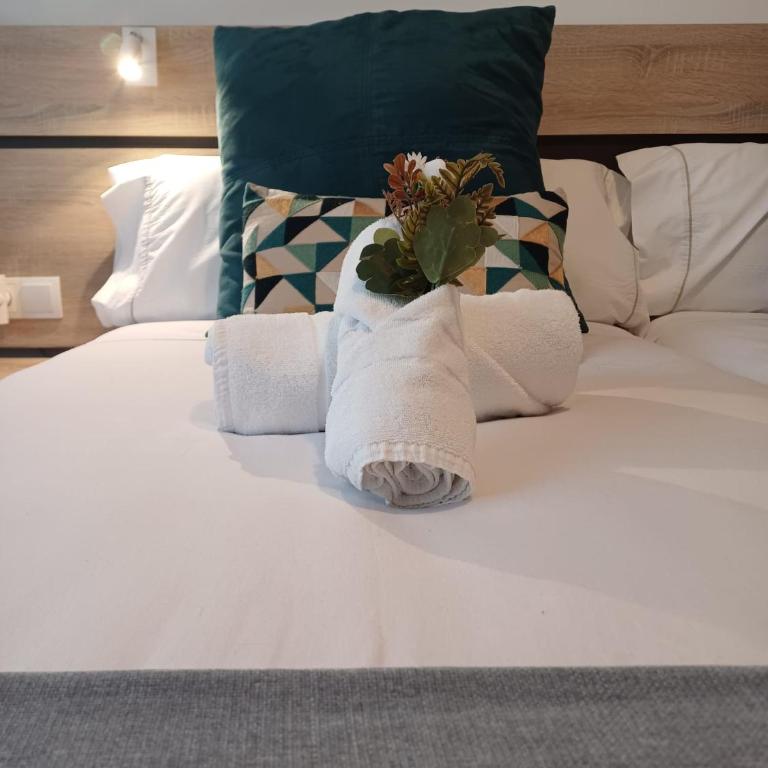 Ventura Premium - Double Room - 9