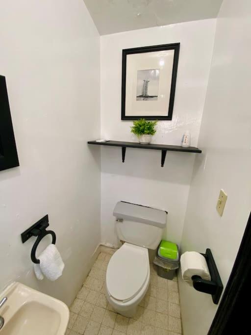 Jaguar Studio - One-Bedroom Apartment - 10