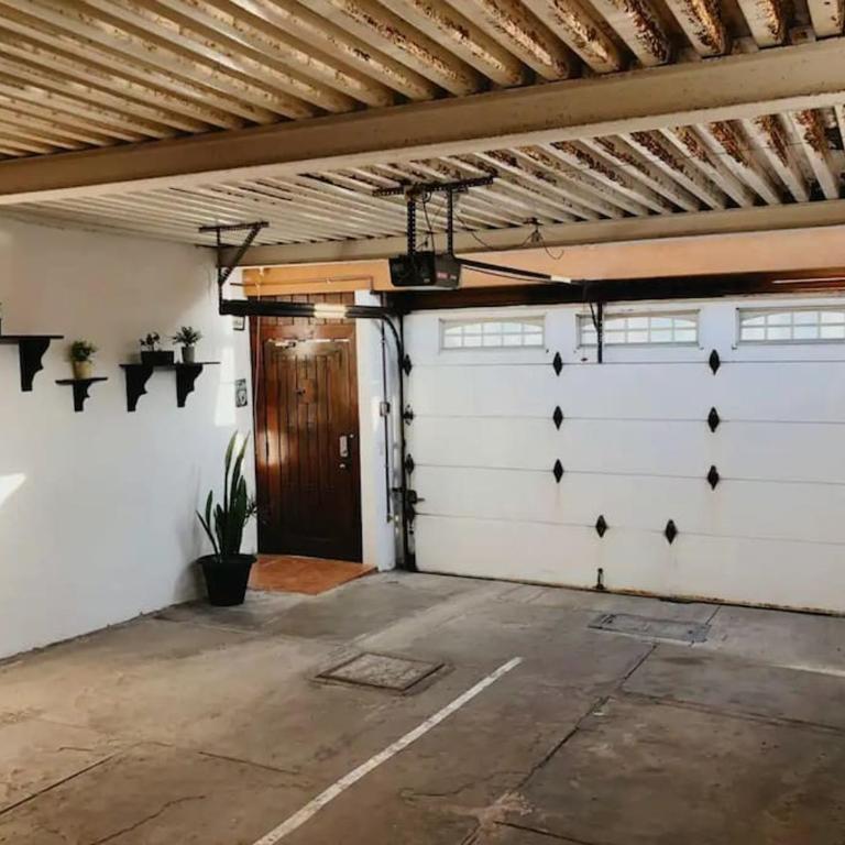 Zebra Studio - Studio - 17