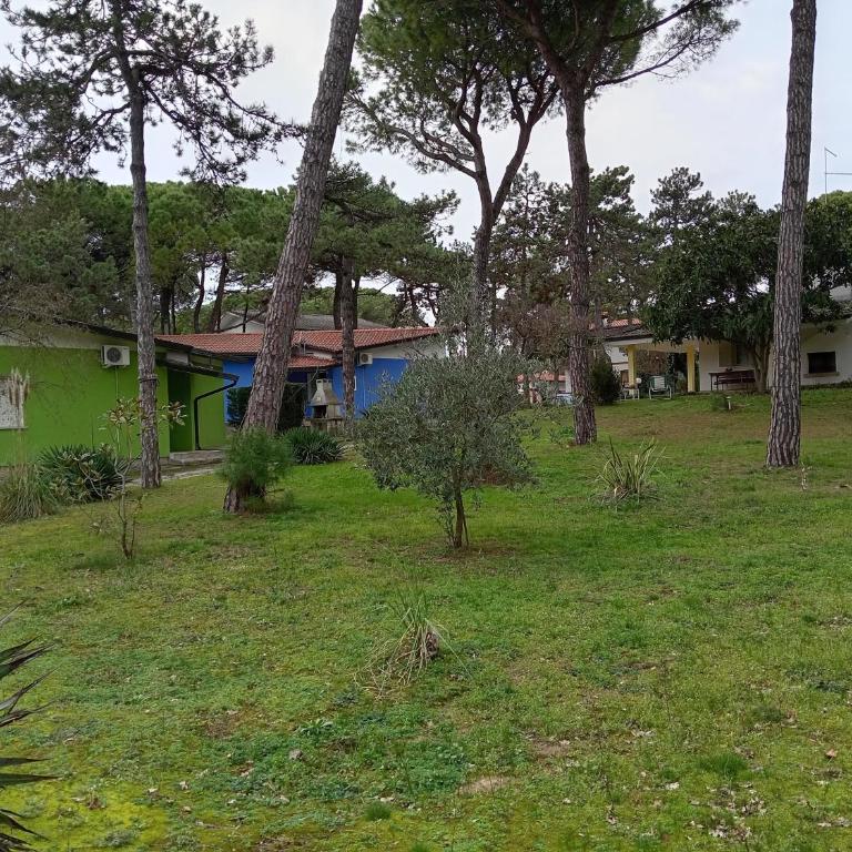 Ville Nelson Ninoska - One-Bedroom House - 24