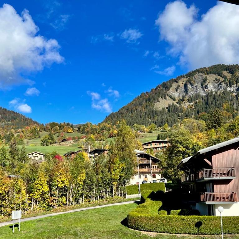 Studio à Praz-sur-Arly - Studio - 16