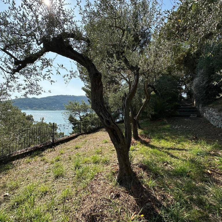 Villa Doria 16 Pax by VILLASRETREATS - Villa - 58
