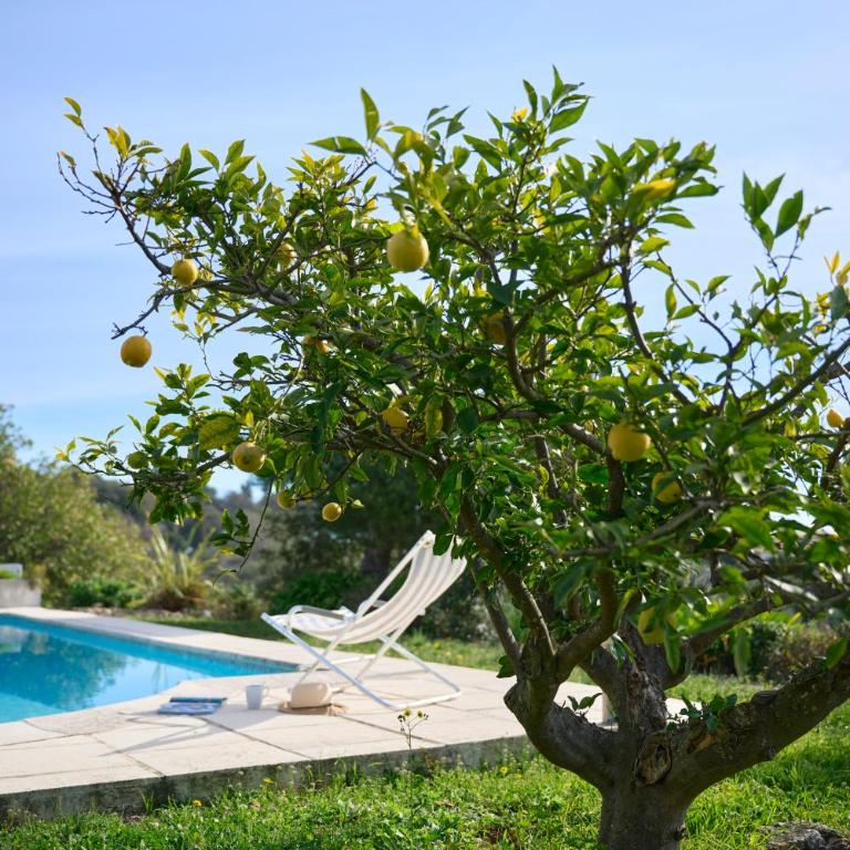 Sunlight Properties - Villa Belvédère - Villa - 42