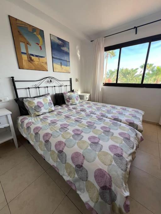 Oasis royal Corralejo - Apartamento - 7