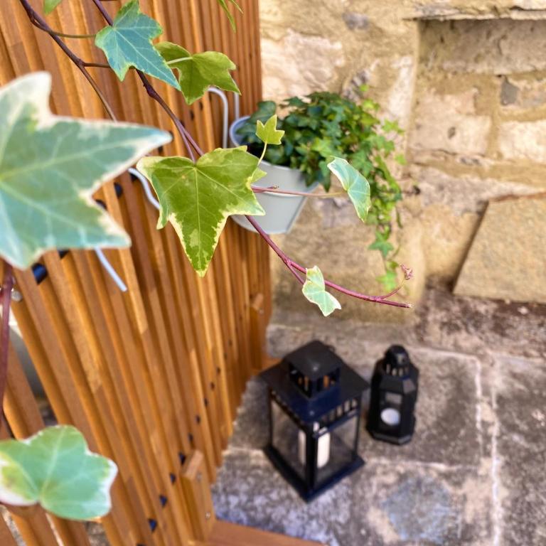 CHIAVE DI VOLTA Lovely Guesthouse with Terrace - Camera Matrimoniale con Terrazza - 10