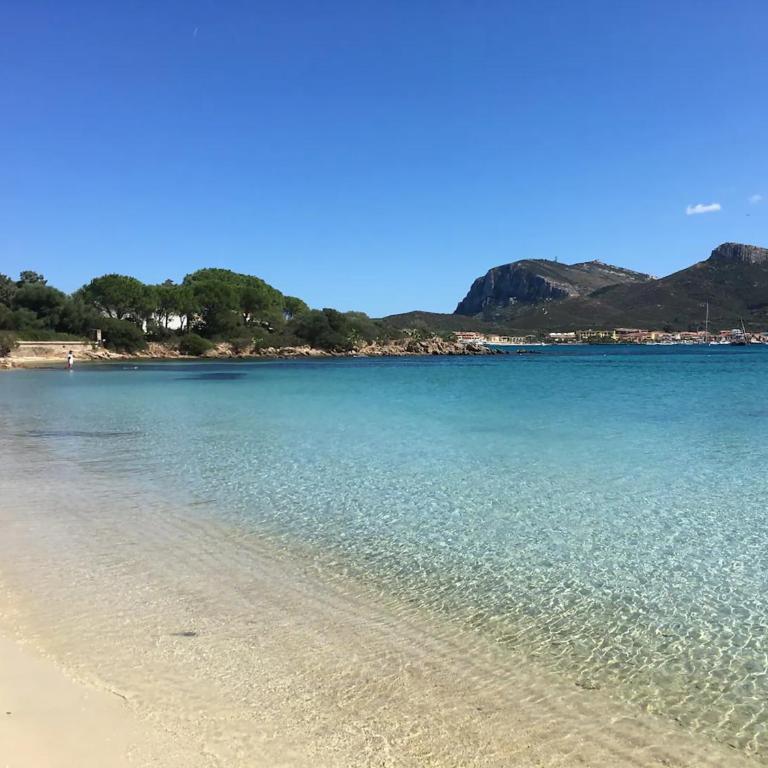 "Tramontana" vista mare - 300m dalla spiaggia - Appartamento con 3 Camere da Letto - 47