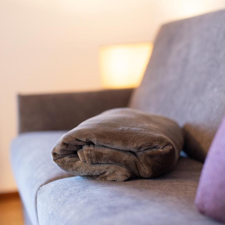Residence Walchhof - Grande Appartamento con 1 Camera da Letto - 17