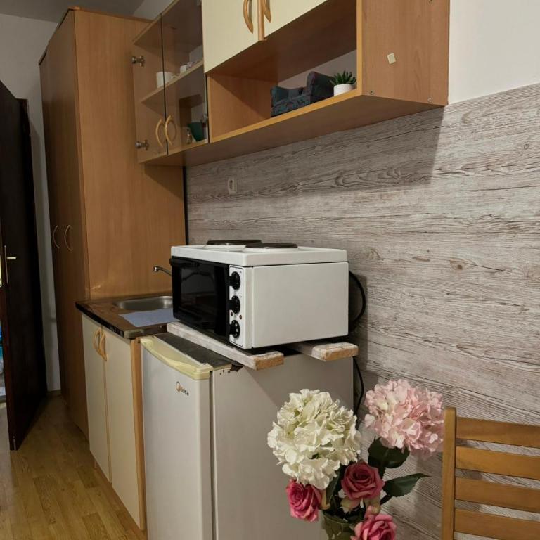 Gaga's Escape - Studio Apartment with Sea View - 5