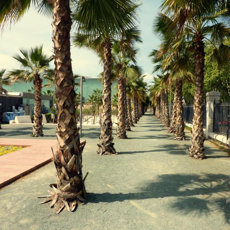 4seasons San Nicolas OnlyMálaga - Apartamento de 1 dormitorio - 41
