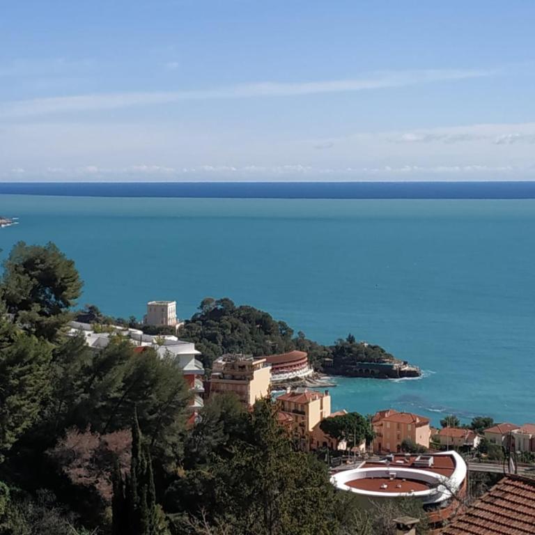 Beautiful Sea View Home Overlooking Monaco - Appartement 1 Chambre - 1