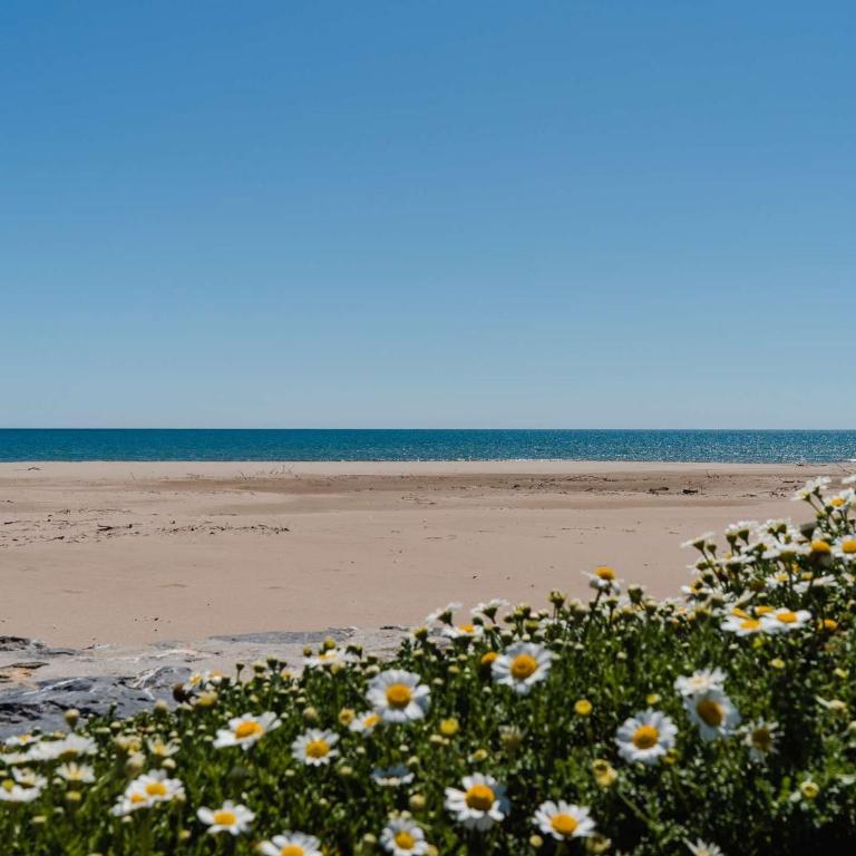 Appartement T2 en RDC, 6 pers, Narbonne-Plage, 100m de la mer, animaux OK, cuisine équipée, WiFi - FR-1-409-149 - Apartment (6 Erwachsene) - 12