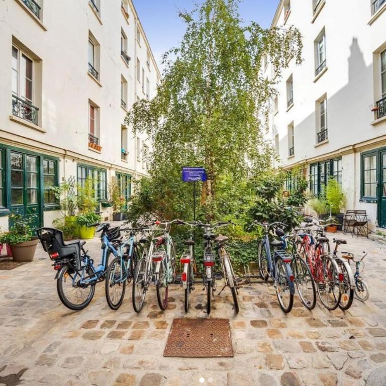 Renovated ! City of Lights, light your visit - Appartement 1 Chambre - 15