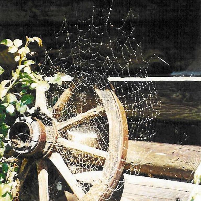 Ferienwohnung Klappacher - Apartment mit 2 Schlafzimmern und Dusche - 58