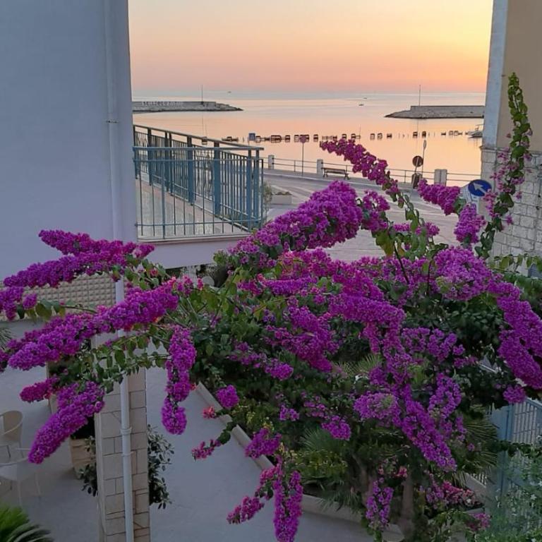 EDEN HOUSE - Appartamento con 1 Camera da Letto - 1