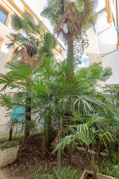 L'élégance du Capitole - Appartement 1 Chambre - 15