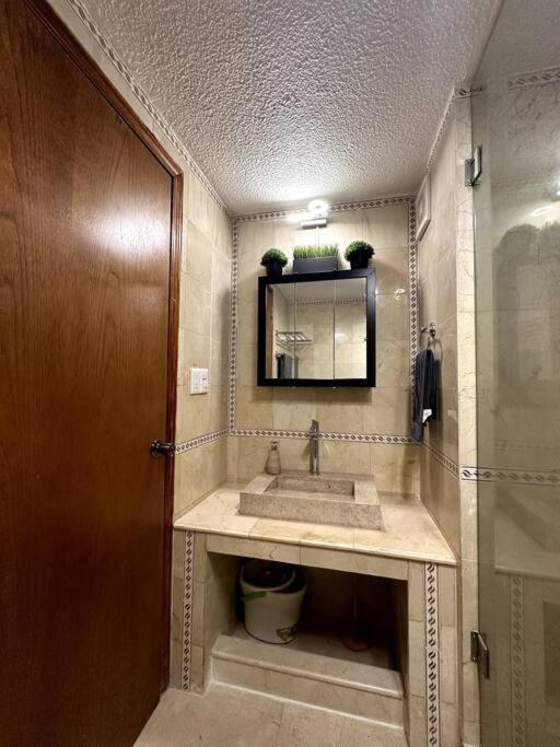 Loft cerca Paseo de la Reforma - One-Bedroom Apartment - 11