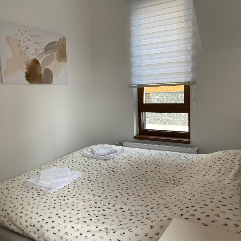 Apartman Sofi Divčinova - Apartman sa 1 Spavaćom Sobom - 5