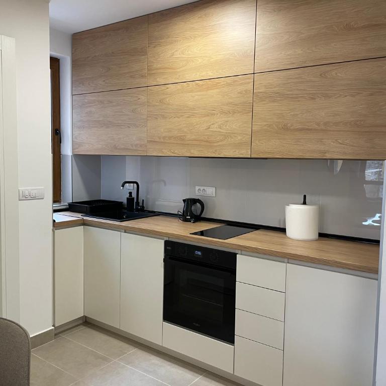 Apartman Sofi Divčinova - Apartman sa 1 Spavaćom Sobom - 6