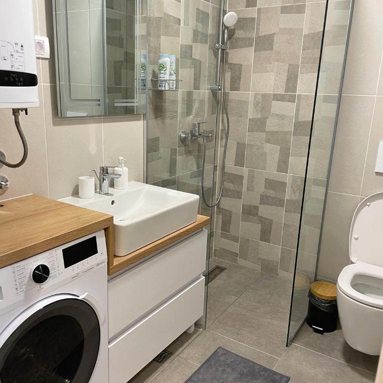 Apartman Sofi Divčinova - Apartman sa 1 Spavaćom Sobom - 8