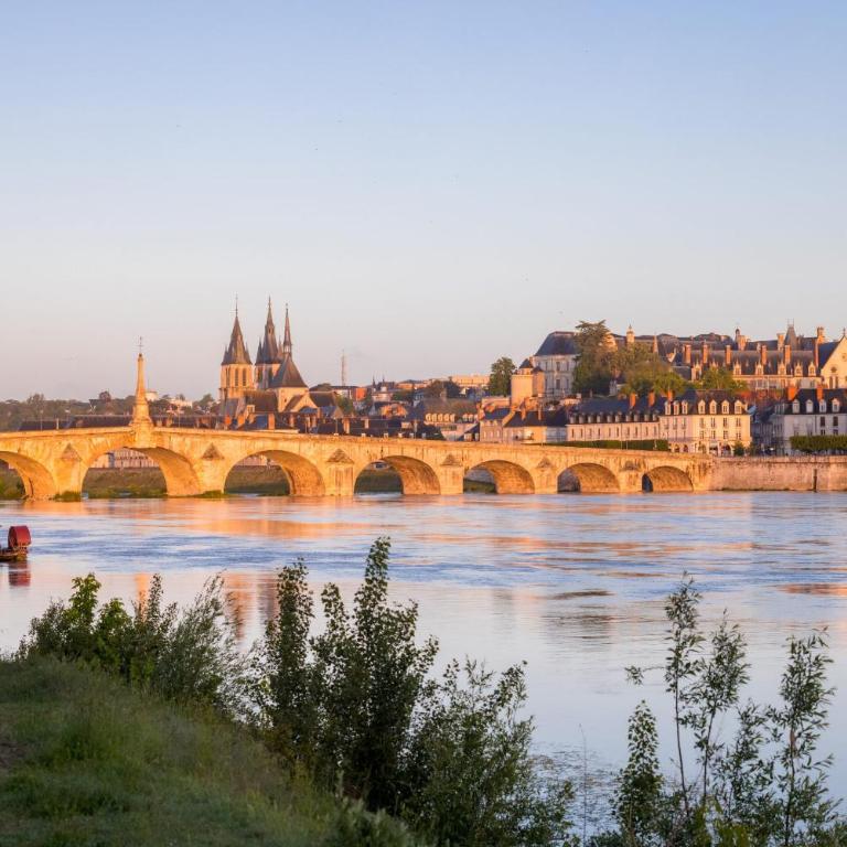 Perle de la Loire - One-Bedroom Apartment - 21