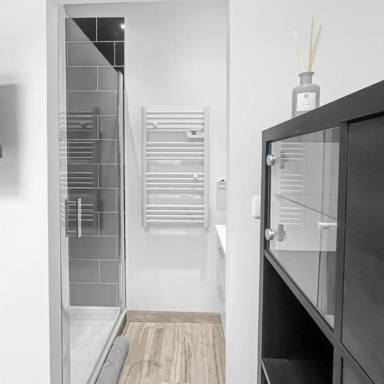 Perle de la Loire - One-Bedroom Apartment - 10