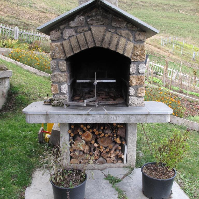 Grand Chalet du Mayen de Planraveire - Apartment - 12