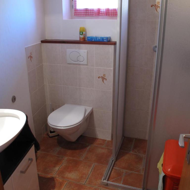 Grand Chalet du Mayen de Planraveire - Apartment - 30
