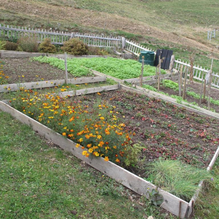 Grand Chalet du Mayen de Planraveire - Apartment - 14