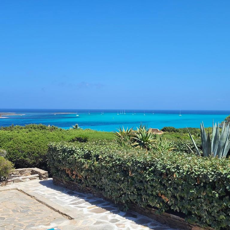Villa Chiccolina - Villa con Vista Mare - 8