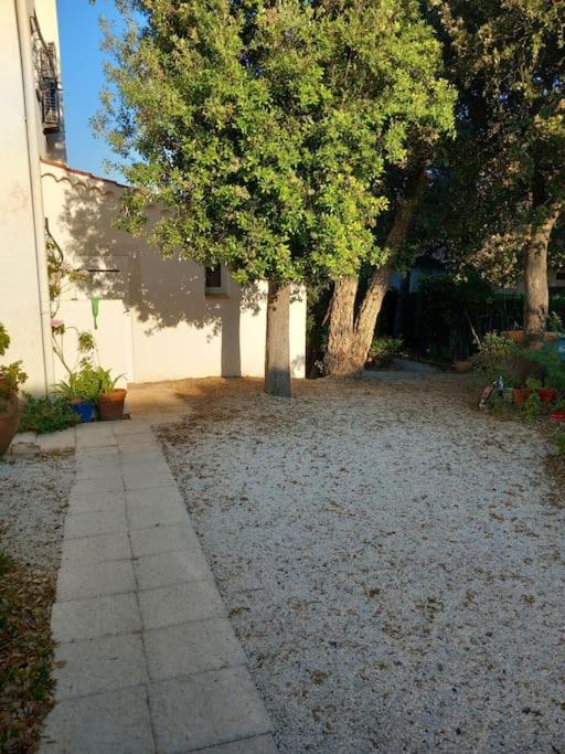 Havre de paix, mer et jardin luxuriant - Haus mit 4 Schlafzimmern - 22
