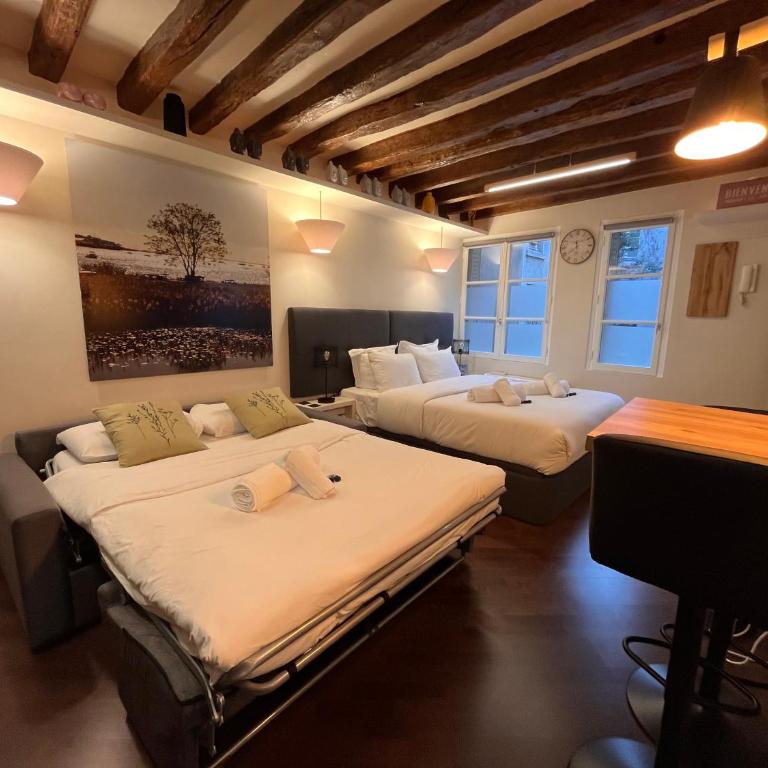 Saint-Germain Notre-Dame, rue des Anglais - Studio Deluxe - 3