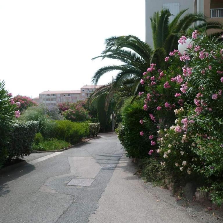 Charmant t2 res lagon bleu piscine 1000 m2 - One-Bedroom Apartment - 2