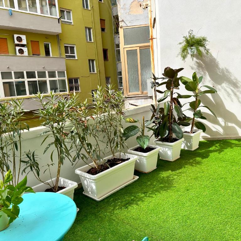 Carloforte al Centro di Cagliari - Appartamento con 1 Camera da Letto - 29