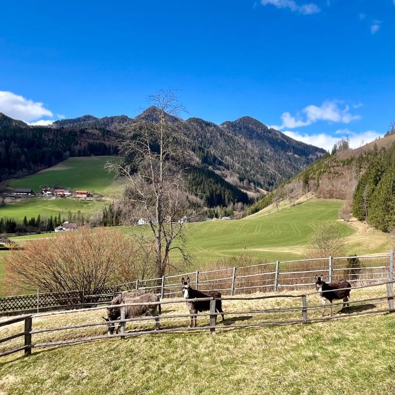 Ferienhaus Am Hofacker - Haus mit 3 Schlafzimmern - 27