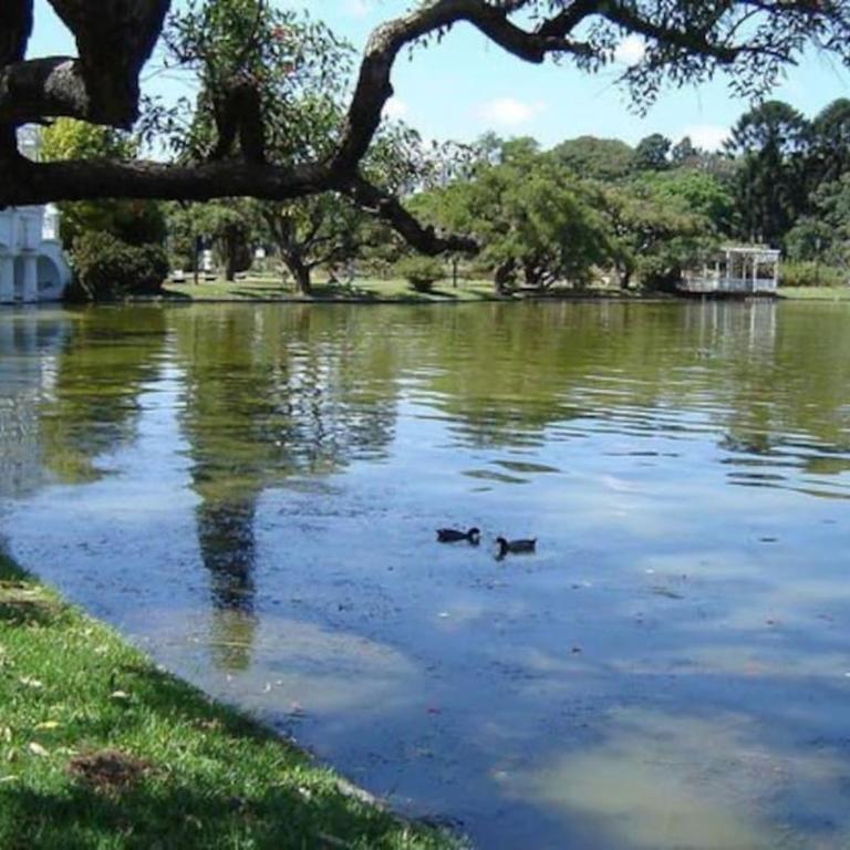 Apartamento con terraza y plantas - Apartamento de 1 dormitorio - 35