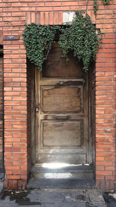 Apartamento con terraza y plantas - Apartamento de 1 dormitorio - 33