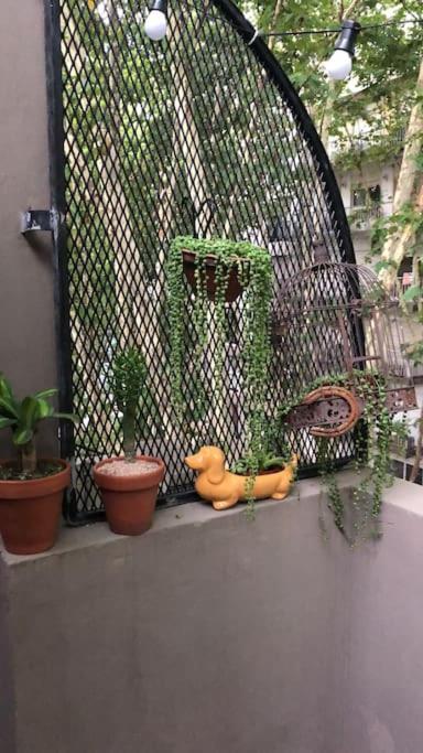 Apartamento con terraza y plantas - Apartamento de 1 dormitorio - 14