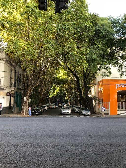 Apartamento con terraza y plantas - Apartamento de 1 dormitorio - 28