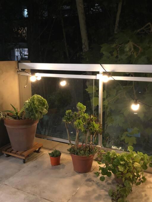 Apartamento con terraza y plantas - Apartamento de 1 dormitorio - 26