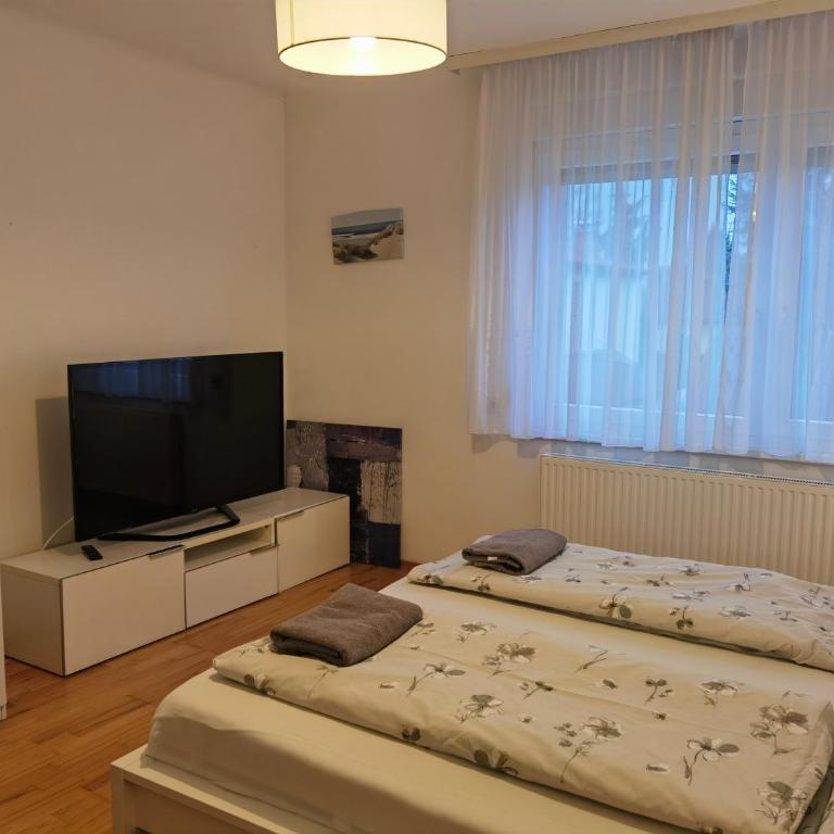 Eichbachgasse 38 - Apartment mit 2 Schlafzimmern - 1