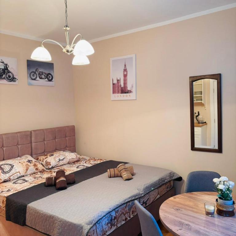 Vuk apartman garsonjera - One-Bedroom Apartment - 8