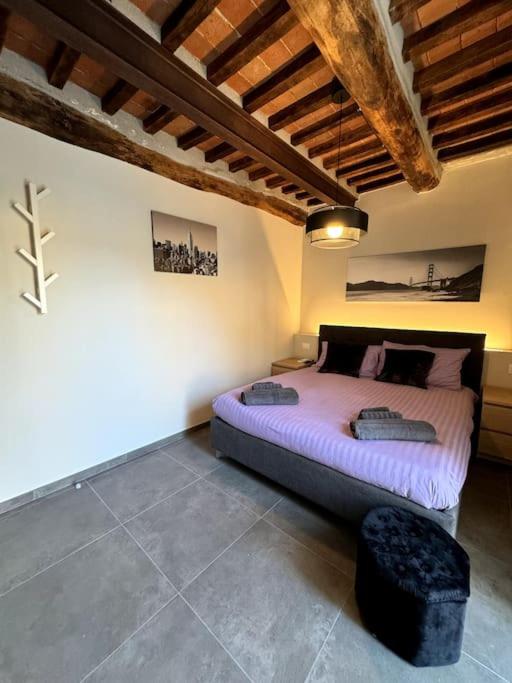 Chicca nel cuore di Pietrasanta - Deluxe Apartment - 21