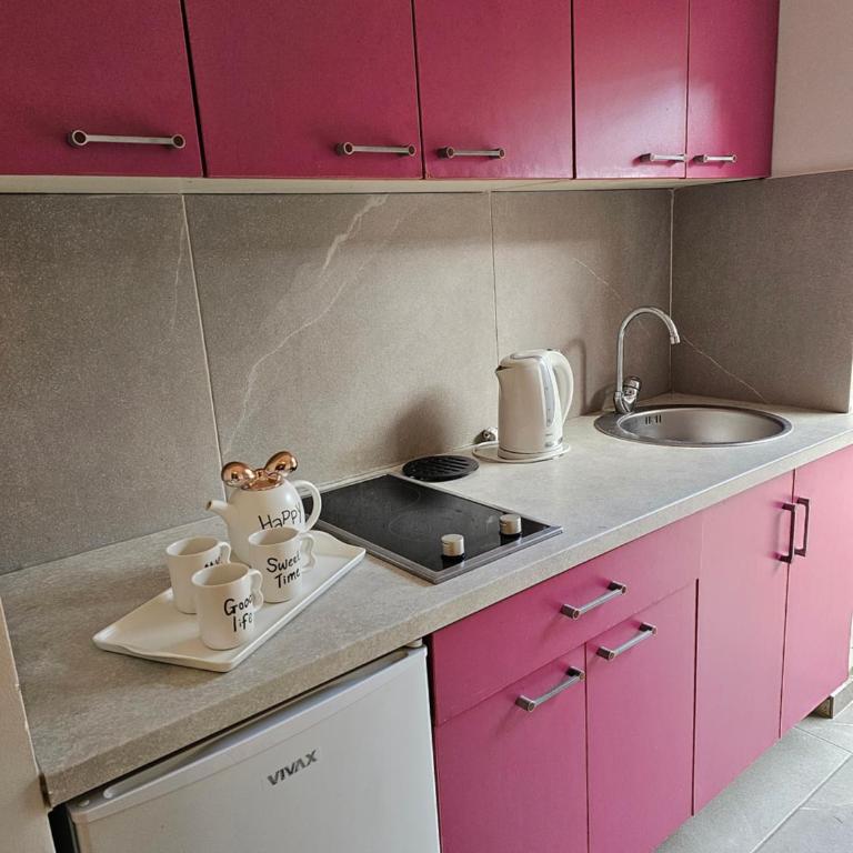 Studio apartmani Vukasin - Standard Studio - 12