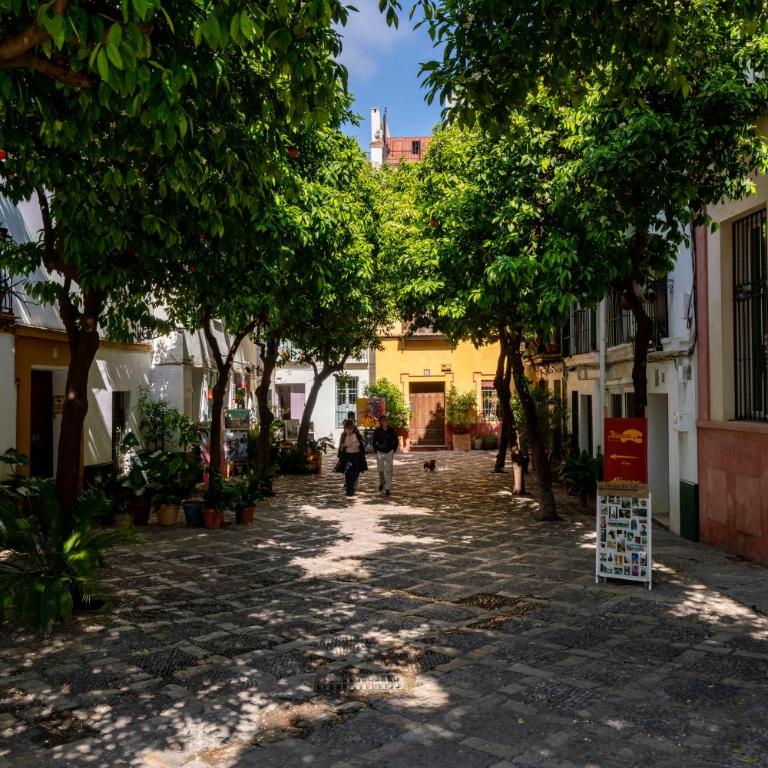 Casa Guadalupe - Casa de 2 dormitorios - 31