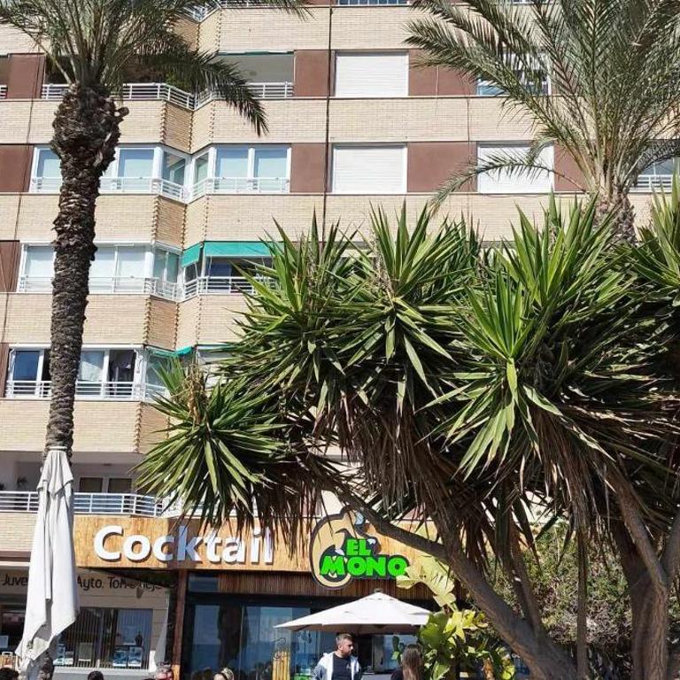 Seaview Torrevieja CityCenter CuraBeach 50m Apartment - Apartment with Sea View - 57