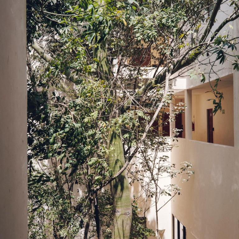 2 FREE BICYCLES BEAUTIFUL SUIT NEAR THE SEA BEAUTIFUL POOl - Casa con 1 dormitorio - 48