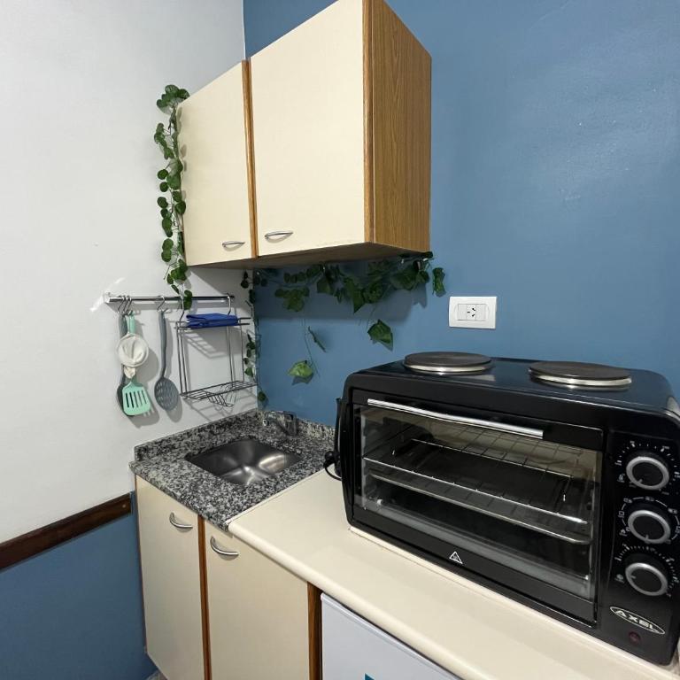 Departamento España a 3 cuadras plaza independencia Mendoza - Apartamento de 2 dormitorios - 12