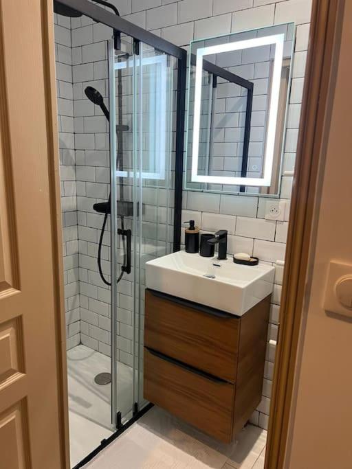 Souplex bordeaux gare saint jean - Appartement 1 Chambre - 9