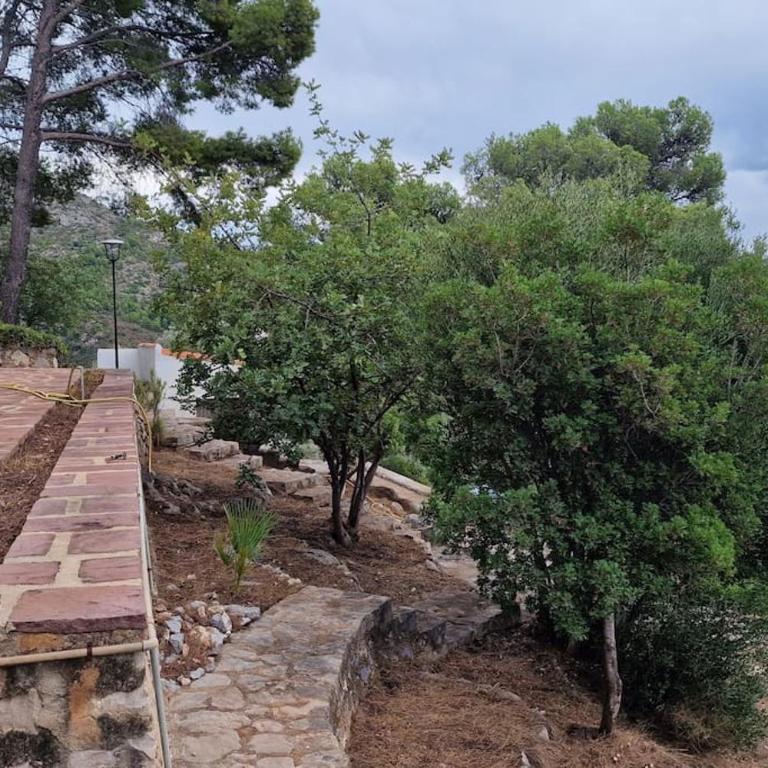 casa y piscina en un parque natural - Three-Bedroom House - 49